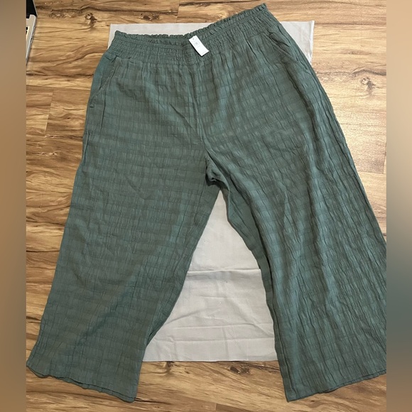 Pants - Aerie green pants